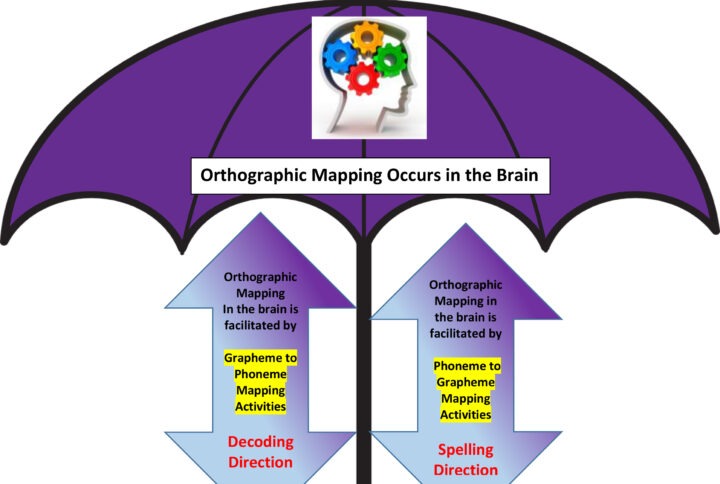 The Role of Orthographic Mapping in Learning to Read and Spell